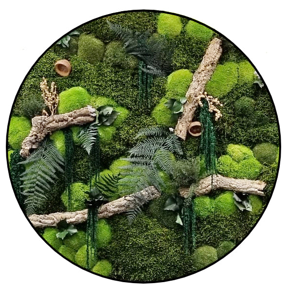 natuurlijke schilderijen