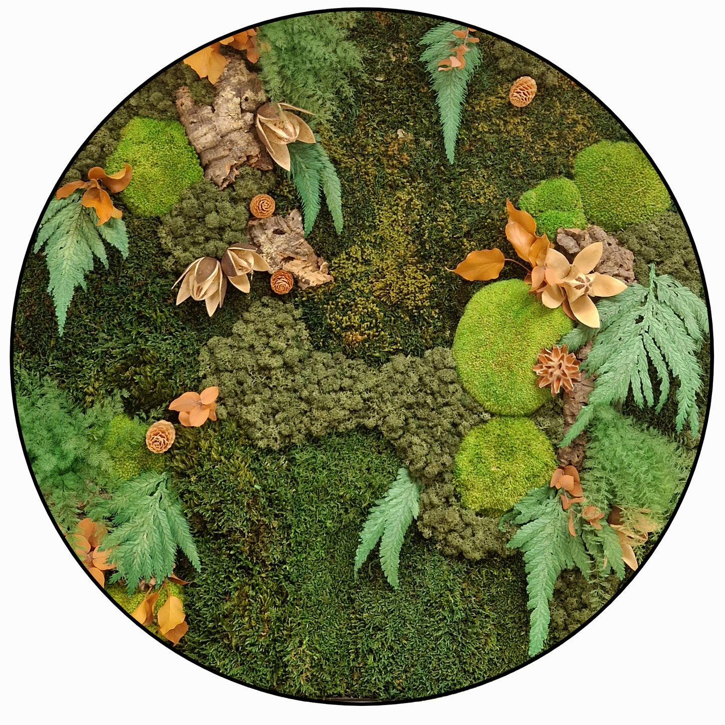 natuur schilderijen