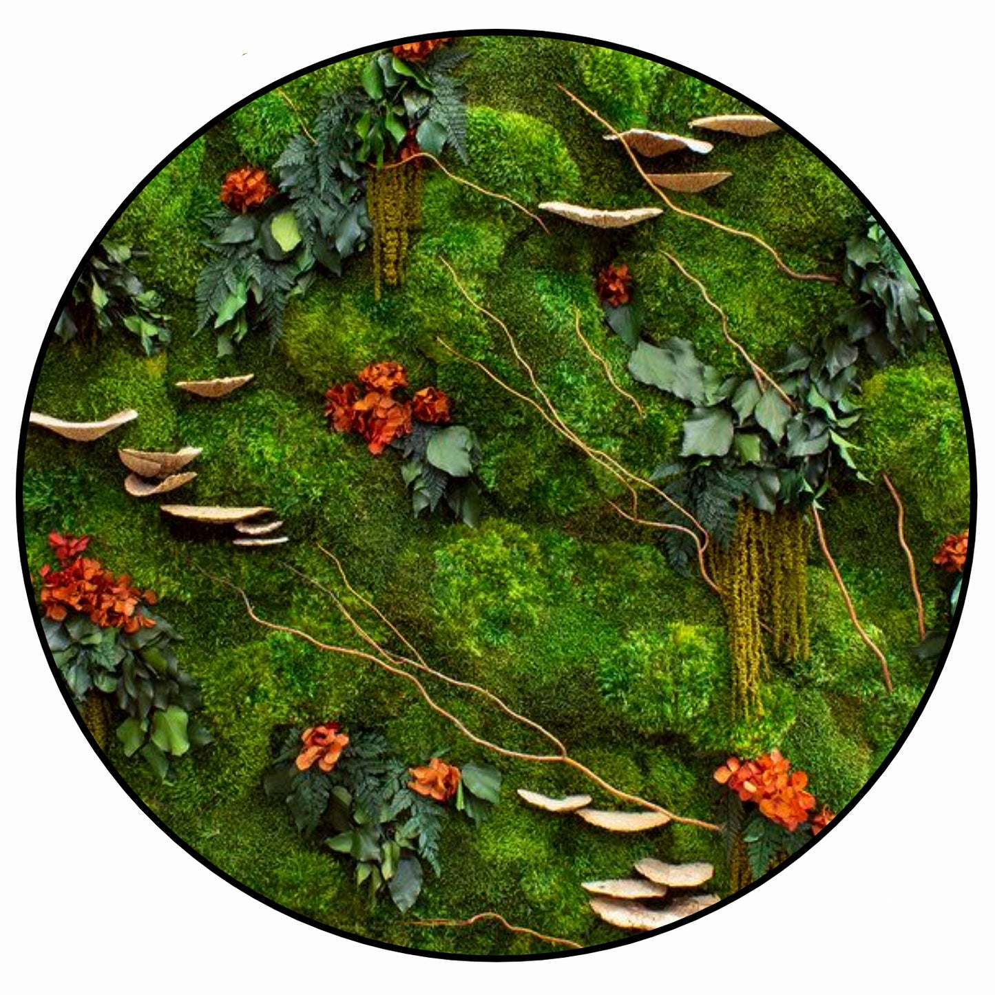 betaalbare natuurlijke schilderijen