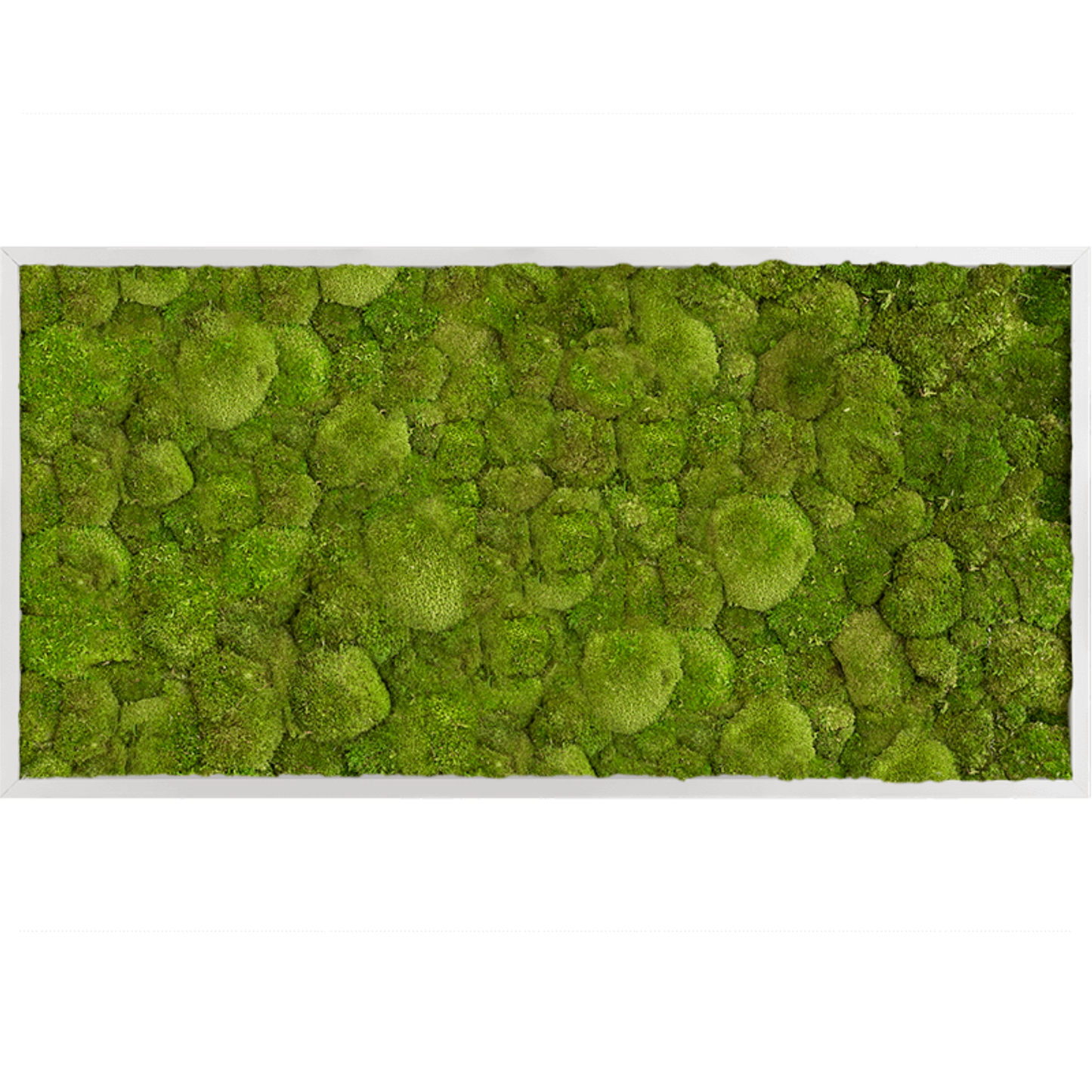 Bolmos schilderij – Panorama – Woudgroen