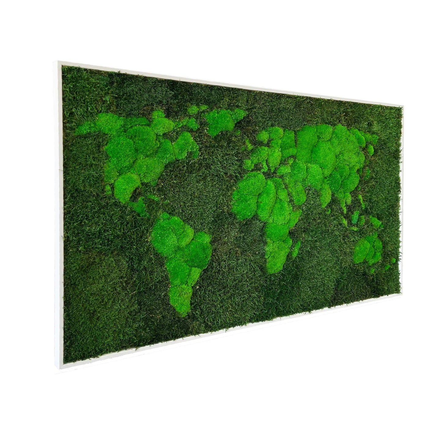 Moosmalerei – Rechteck – World of Moss