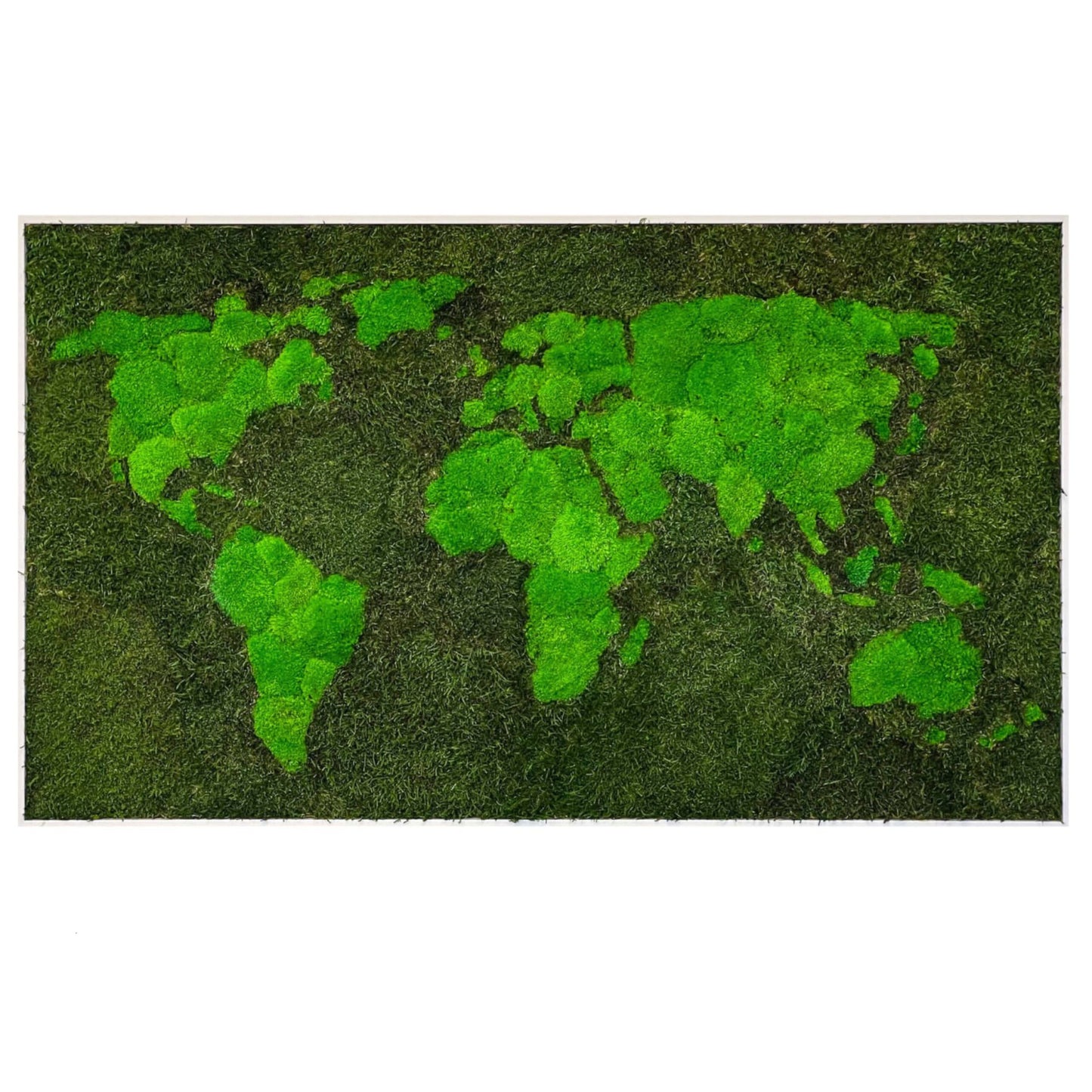 Moosmalerei – Rechteck – World of Moss