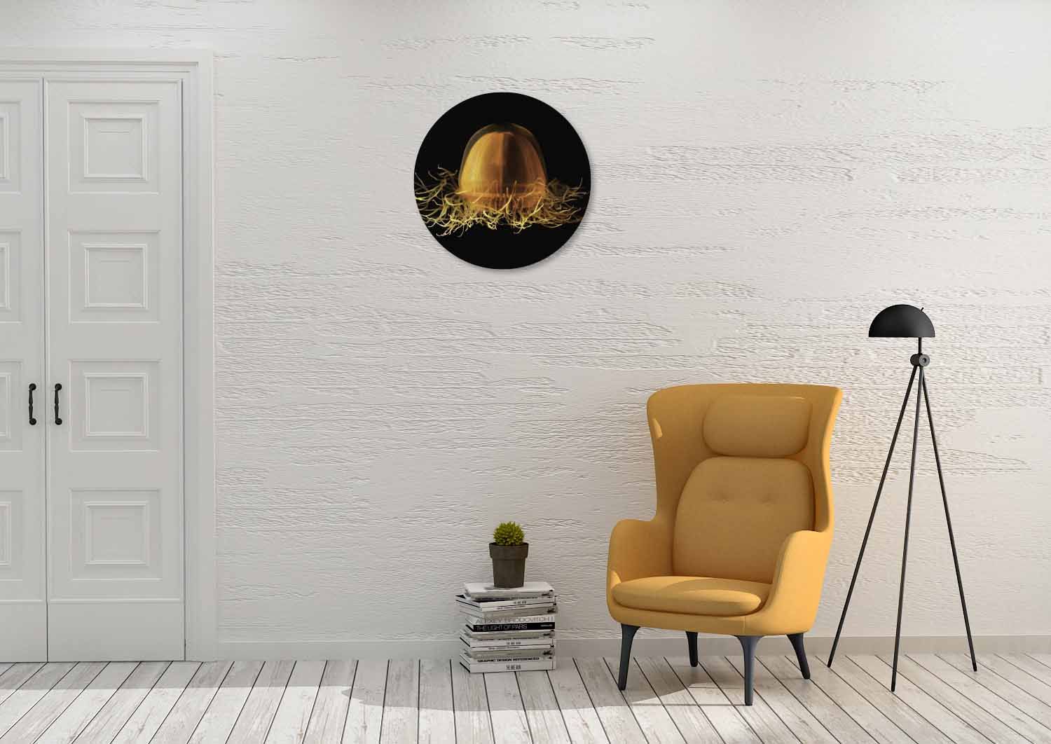 ronde rvs schilderijen