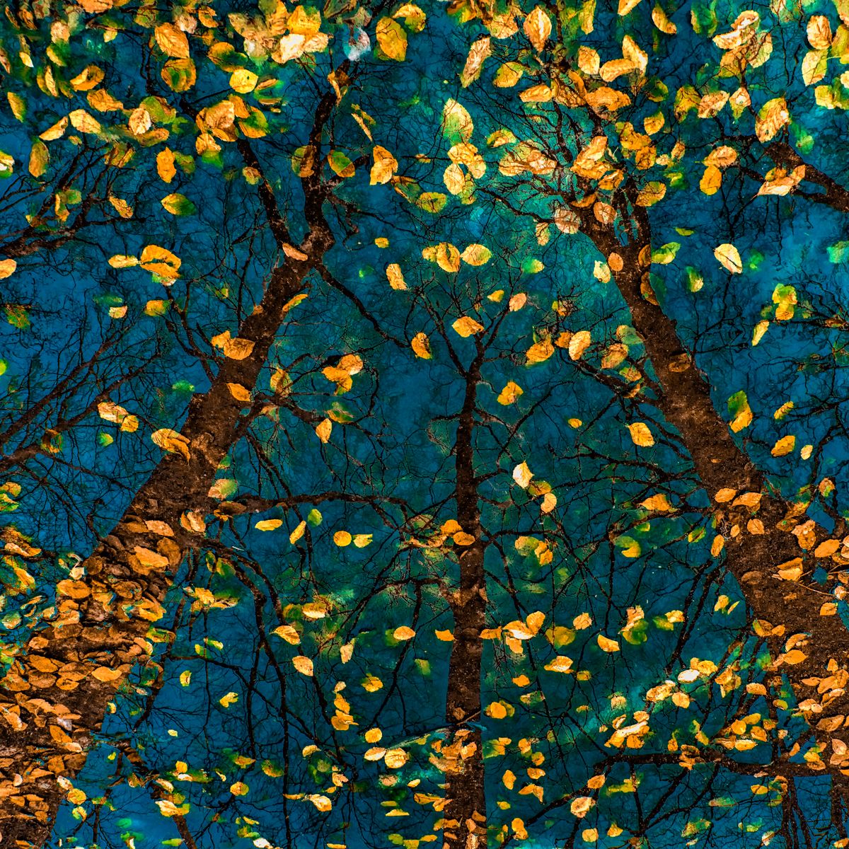 herfst schilderij