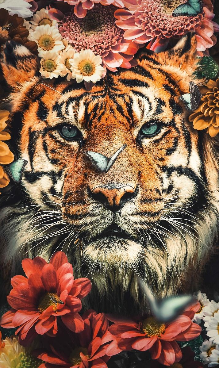 The Tiger