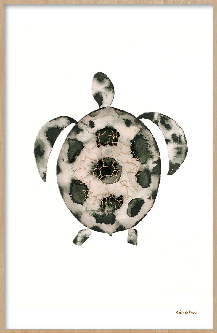 Herr Schildkröte