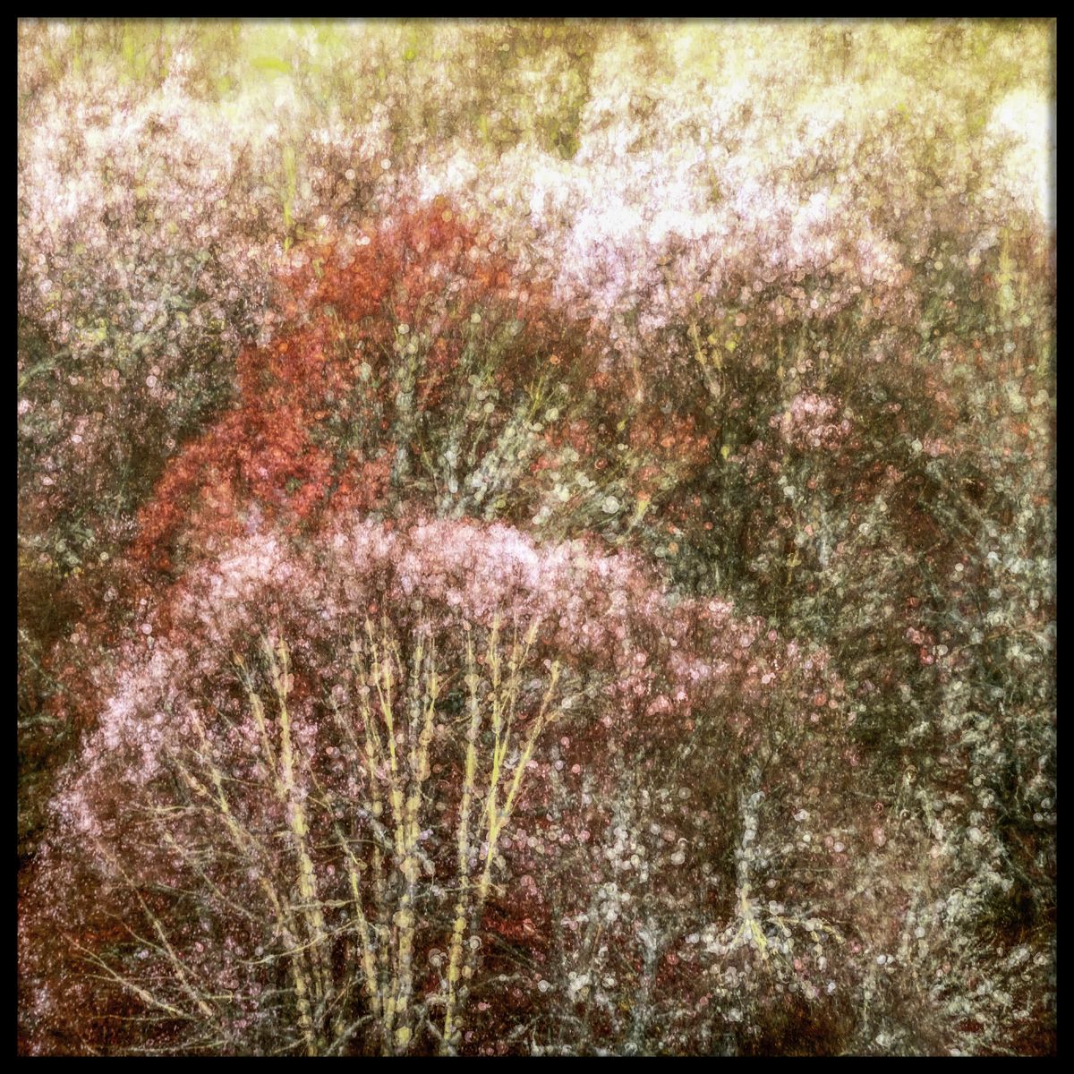 natuur wanddecoratie