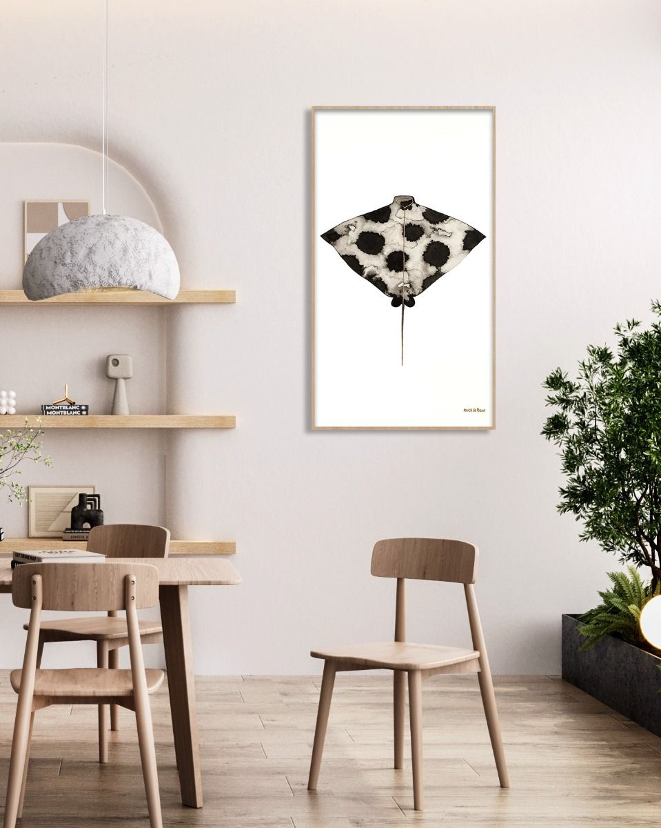 eagle ray van anick de rouw