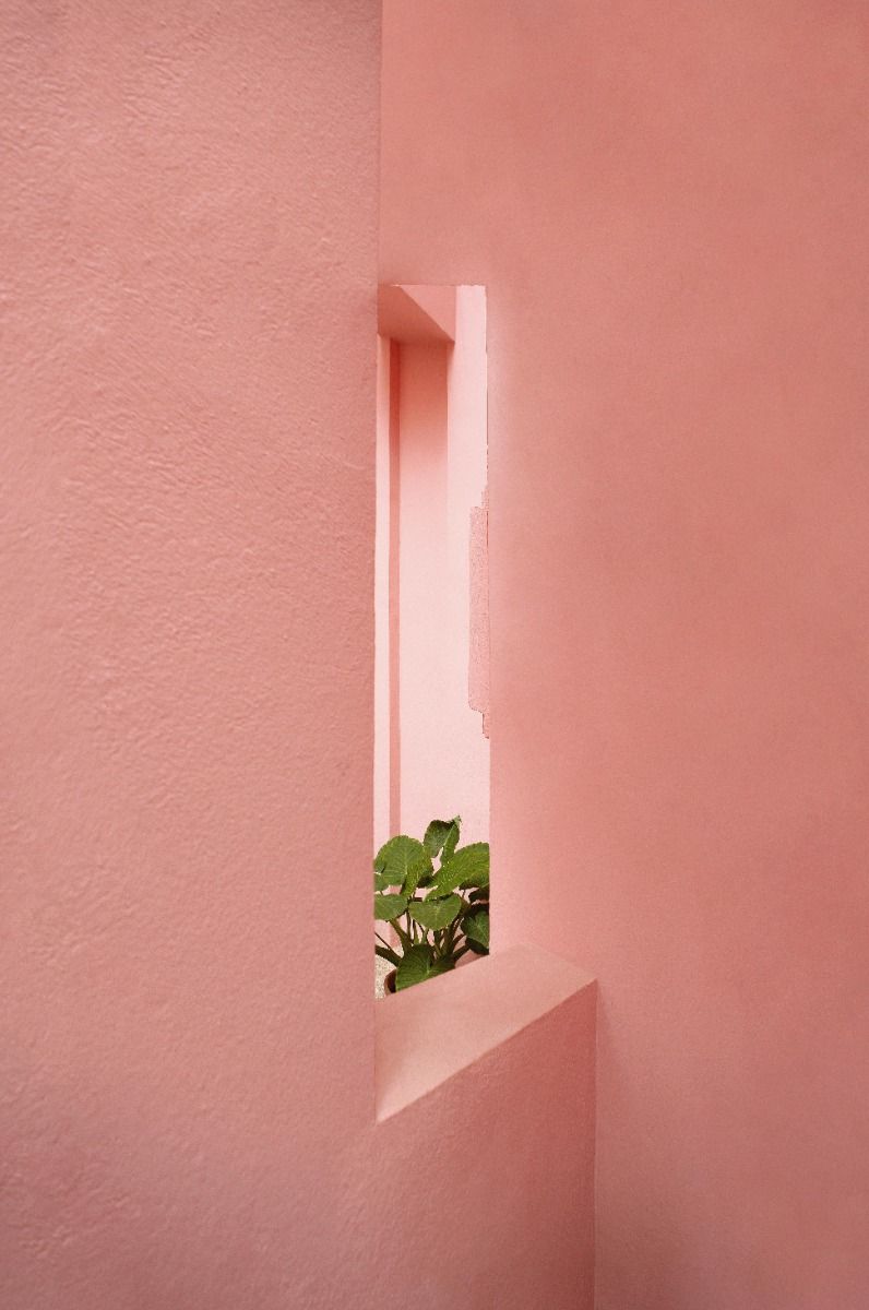 ivo rikkert fotografie
