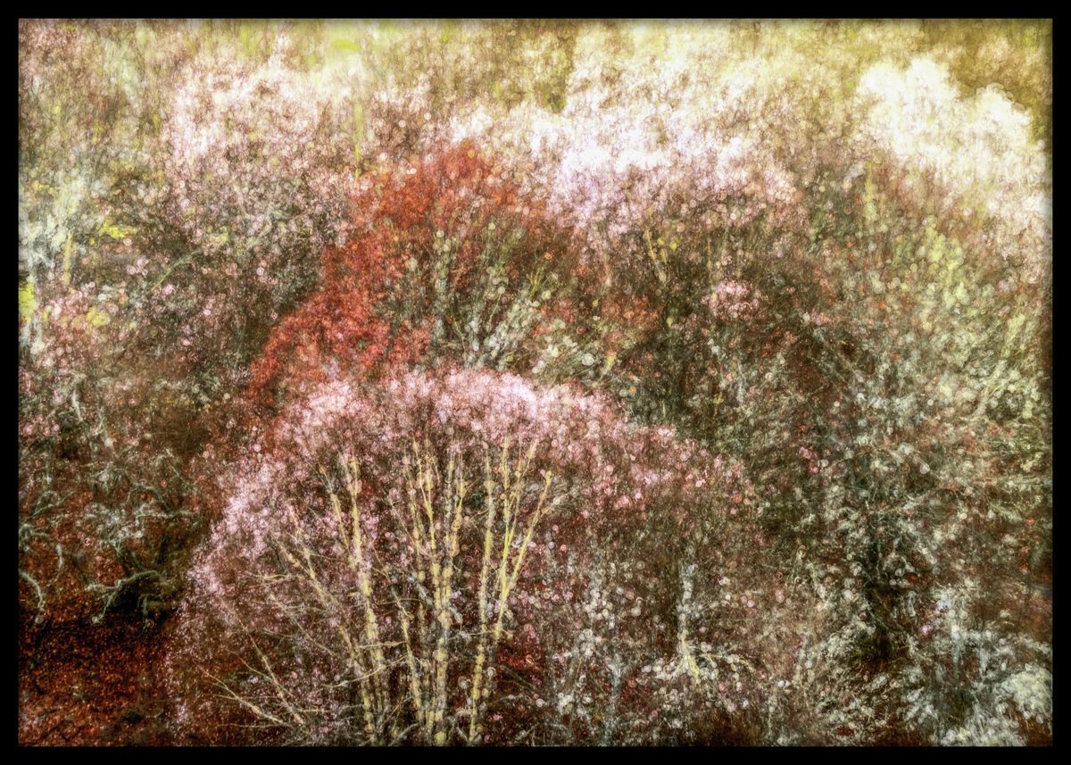 herfstkleurige natuur wanddecoratie