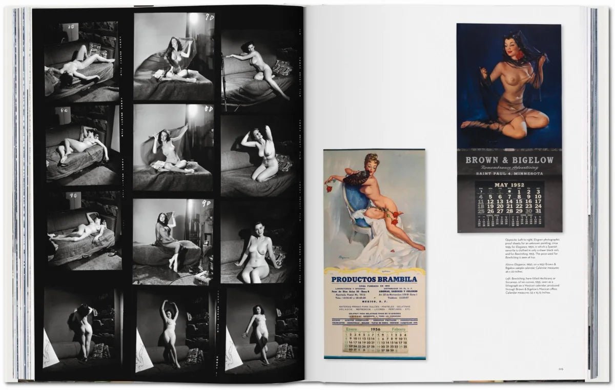 The Art of Pin-up - Tijdelijk uitverkocht