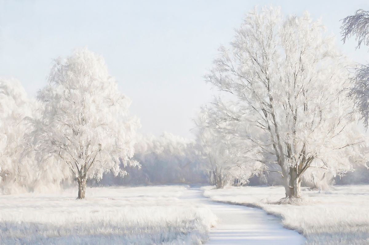 schilderijen van winter