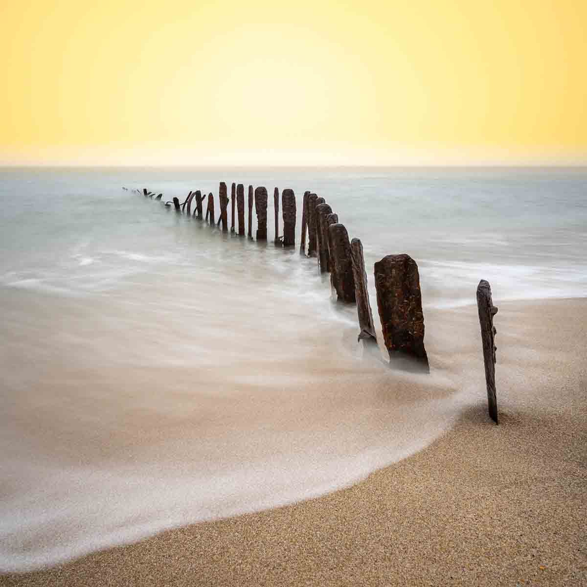Art of nature 040
