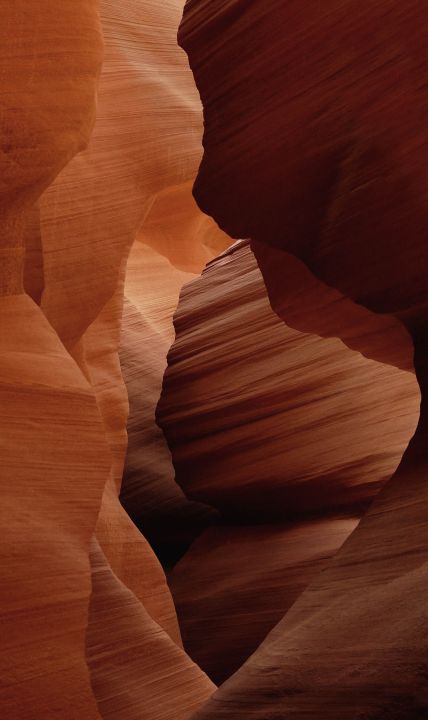 Art of Nature 007