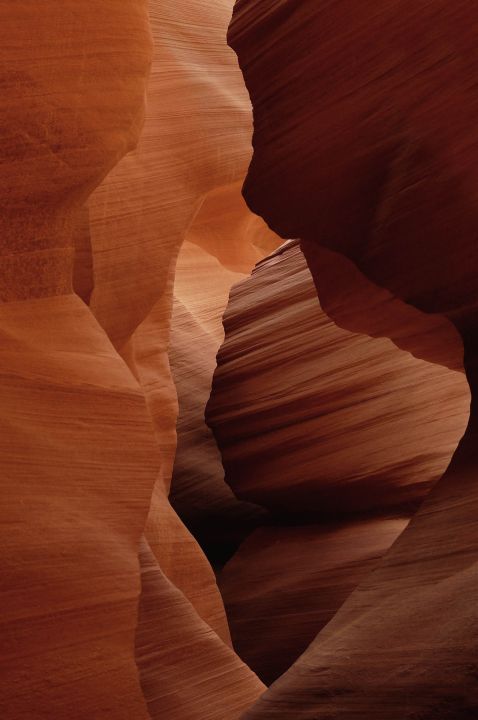 Art of Nature 007